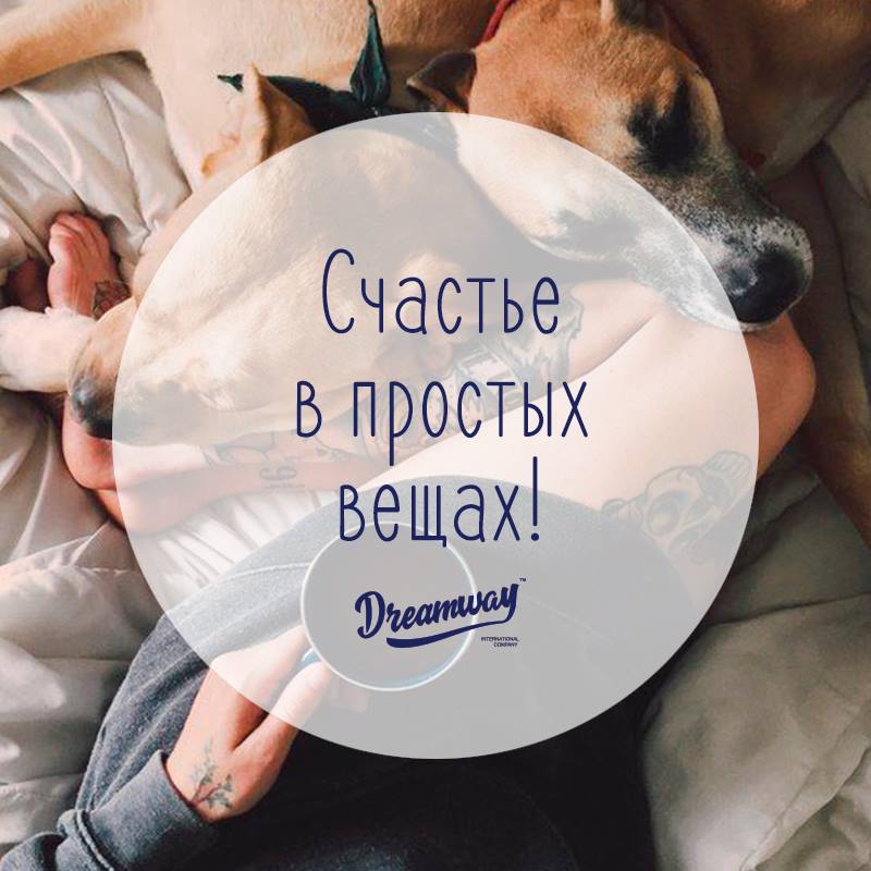 Настоящее счастье. Счастье в простых вещах. Счастьев поочтых вещах. Находите счастье в простых вещах. Красота в простых вещах.